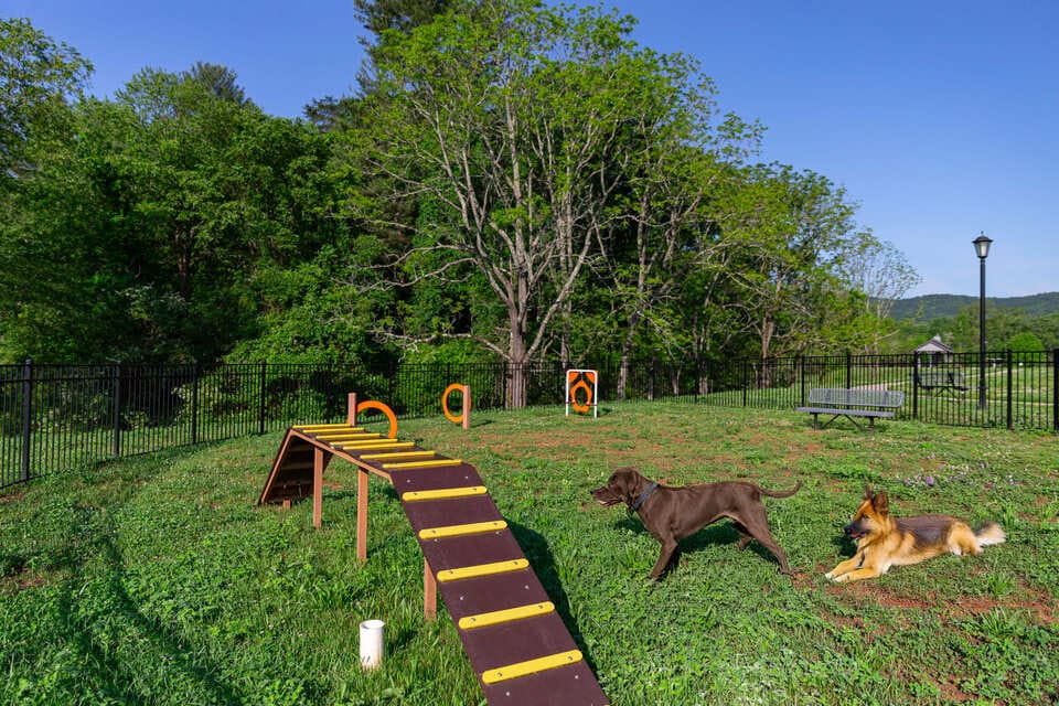 Home. Big Hills at Horse Shoe New Houses in Asheville, North Carolina